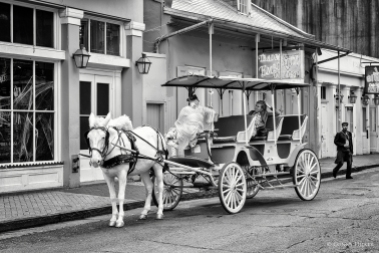 Pferdekutsche. Bourbon Street, New Orleans, Louisiana, USA in s/w, b/w